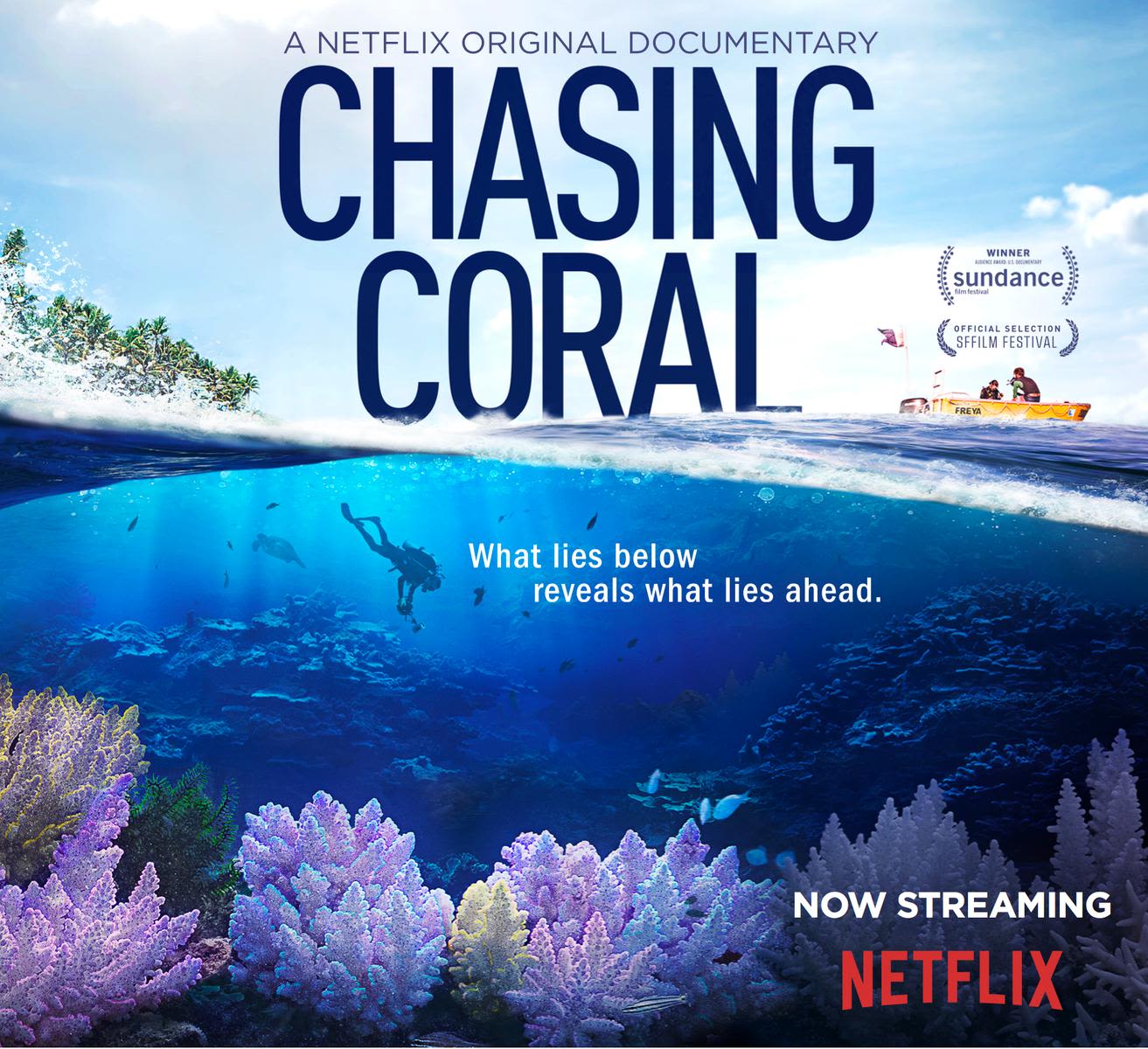 Post for Netflix 2017 documentary "Chasing Coral". Image features a diver descending into a blue ocean towards a colourful Coral bloom. Caption reads "What lies below reveals what lies ahead".